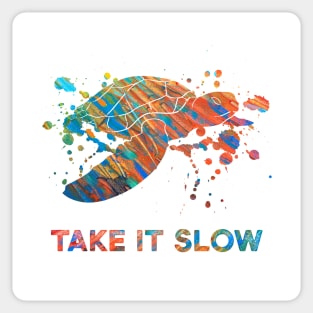 Turtle - Take it slow Sticker